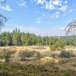Photo 14 for Whispering Pines