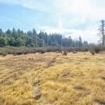 Photo 15 for Whispering Pines