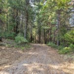 Photo 16 for Whispering Pines