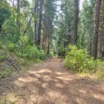 Photo 18 for Whispering Pines
