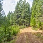 Photo 19 for Whispering Pines