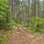 Photo 21 for Whispering Pines