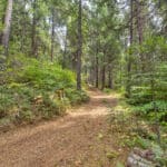 Photo 22 for Whispering Pines