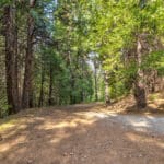 Photo 23 for Whispering Pines