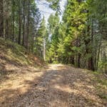Photo 24 for Whispering Pines