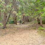 Photo 26 for Whispering Pines