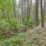 Photo 30 for Whispering Pines