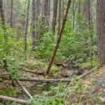 Photo 31 for Whispering Pines