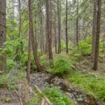 Photo 32 for Whispering Pines