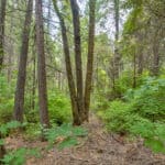 Photo 34 for Whispering Pines