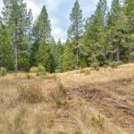 Photo 36 for Whispering Pines