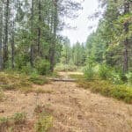 Photo 38 for Whispering Pines