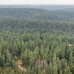 Photo 39 for Whispering Pines