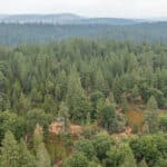 Photo 41 for Whispering Pines