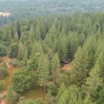 Photo 42 for Whispering Pines