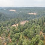 Photo 44 for Whispering Pines
