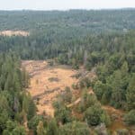 Photo 45 for Whispering Pines
