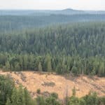 Photo 47 for Whispering Pines