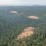 Photo 48 for Whispering Pines