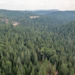 Photo 50 for Whispering Pines
