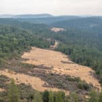 Photo 54 for Whispering Pines