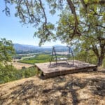Photo 49 for Simoni Italian Olive Grove