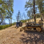 Photo 69 for Simoni Italian Olive Grove