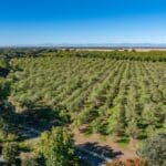 Photo 11 for County Line Ranch