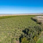 Photo 12 for County Line Ranch