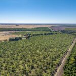 Photo 13 for County Line Ranch