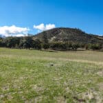 Photo 29 for 3501 S Hwy 3