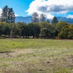 Photo 31 for 3501 S Hwy 3