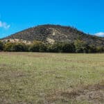 Photo 32 for 3501 S Hwy 3