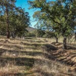 Photo 34 for 3501 S Hwy 3