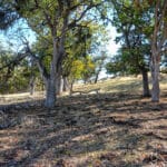 Photo 36 for 3501 S Hwy 3