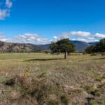 Photo 37 for 3501 S Hwy 3