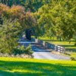 Photo 4 for County Line Ranch