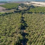 Photo 5 for County Line Ranch