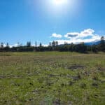 Photo 44 for 3501 S Hwy 3