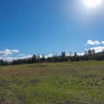 Photo 45 for 3501 S Hwy 3