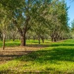 Photo 6 for County Line Ranch