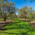 Photo 7 for County Line Ranch