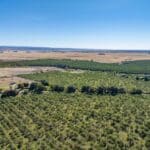 Photo 85 for County Line Ranch