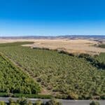 Photo 84 for County Line Ranch