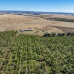 Photo 86 for County Line Ranch