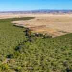 Photo 87 for County Line Ranch