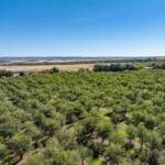 Photo 88 for County Line Ranch