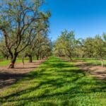 Photo 89 for County Line Ranch