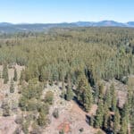 Photo 1 for High Sierra Forest