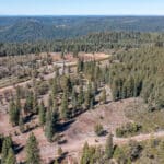 Photo 2 for High Sierra Forest